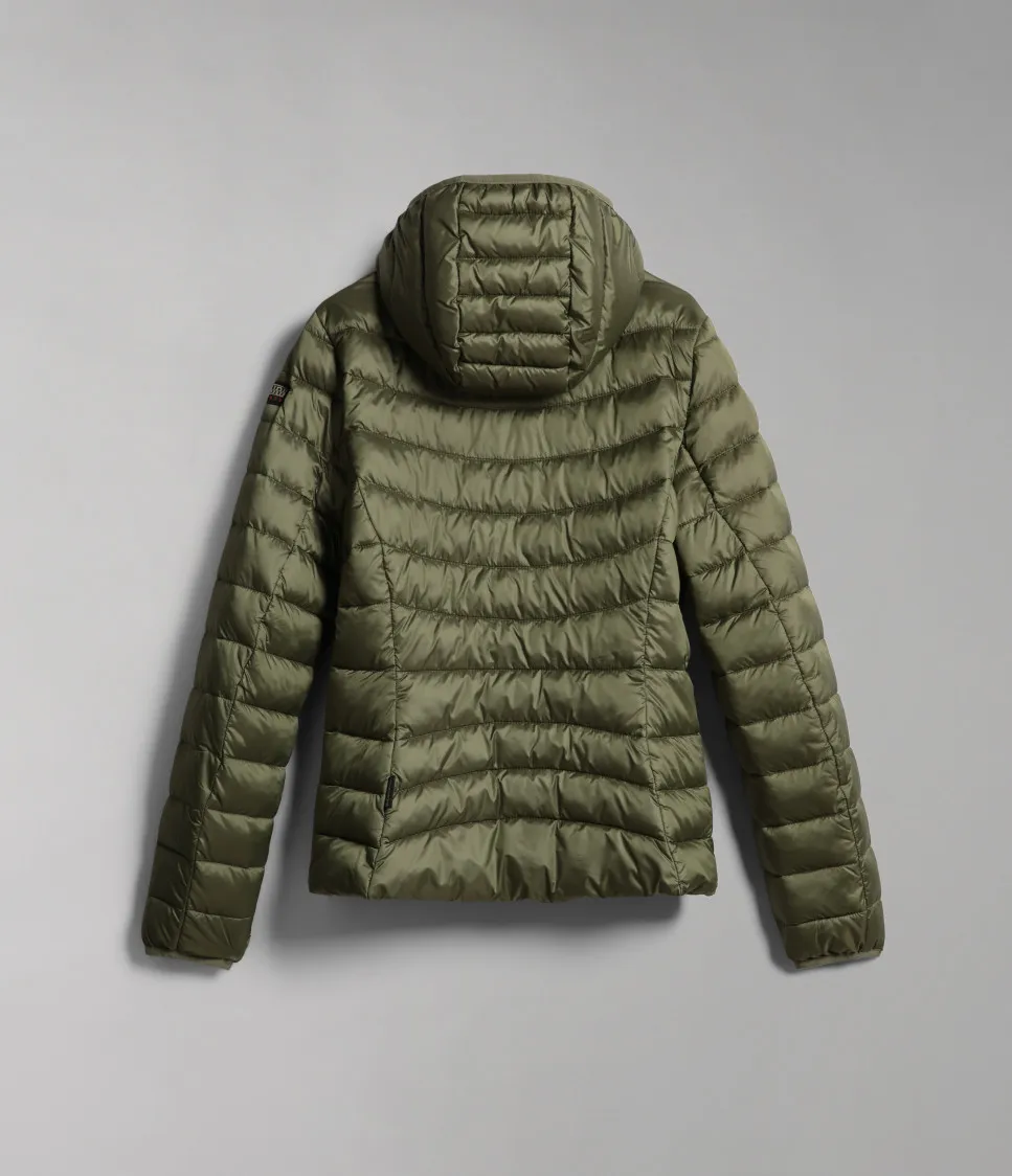AERONS H W 2 GREEN LICHEN