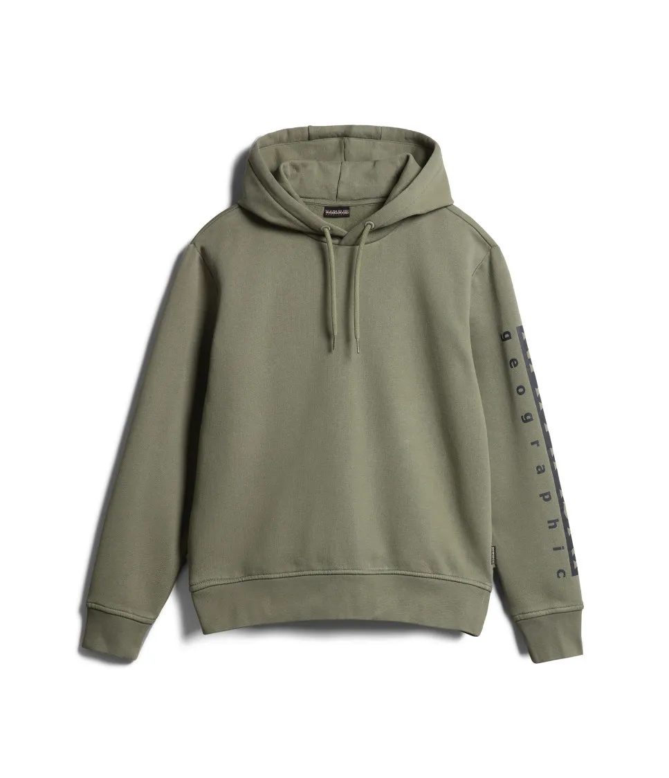 BADAS H 1 GREEN LICHEN
