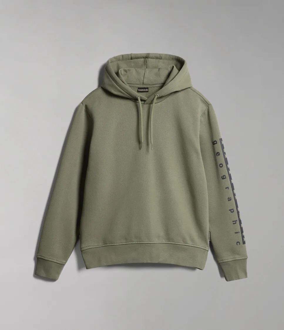 BADAS H 1 GREEN LICHEN