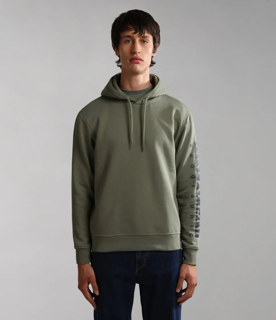 BADAS H 1 GREEN LICHEN
